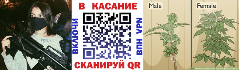 Как найти закладки Курган МАРИХУАНА Меф мяу мяу Вейп ТГК ГАШИШ А ПВП