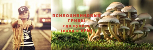 тгк Нефтекумск