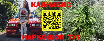 СК Кингисепп
