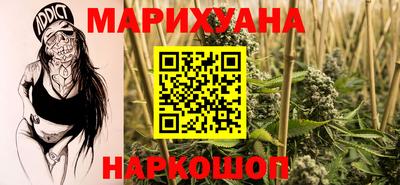 СК Кингисепп
