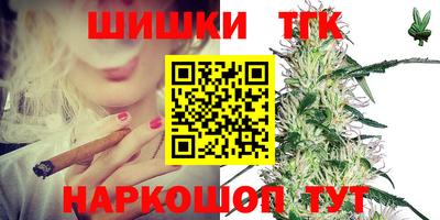 СК Кингисепп