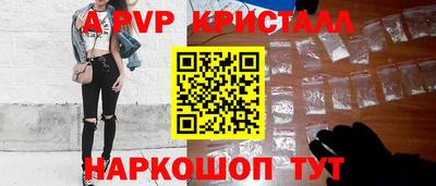 СК Кингисепп