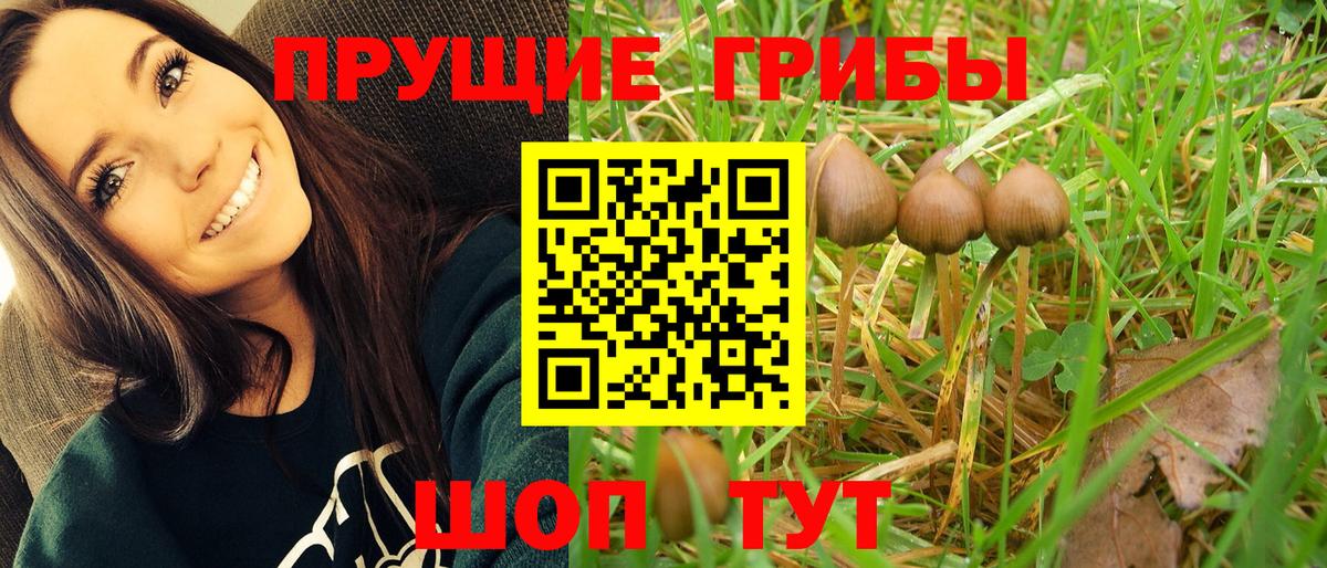 Галлюциногенные грибы Magic Shrooms Курган