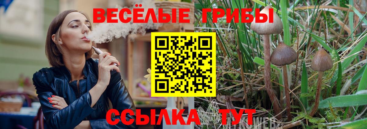 Галлюциногенные грибы ЛСД  Курган 