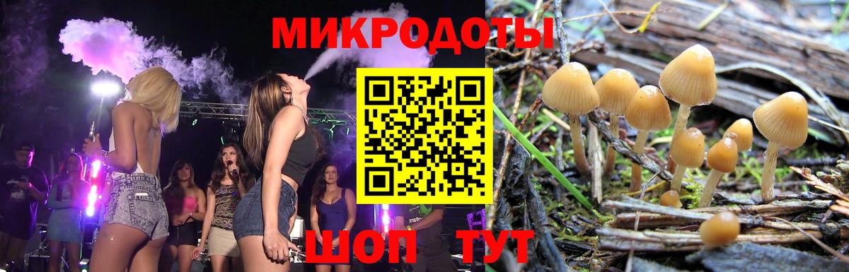 Псилоцибиновые грибы ЛСД  магазин продажи наркотиков  Курган  Псилоцибиновые грибы мухоморы  Вход с VPN 